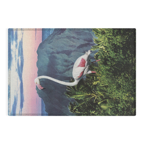 Sarah Eisenlohr Flamingo I Outdoor Rug