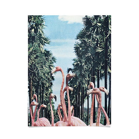 Sarah Eisenlohr Palm Trees Flamingos Poster