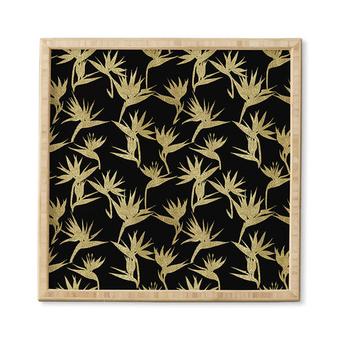 Schatzi Brown Bird of Paradise Black Gold Framed Wall Art
