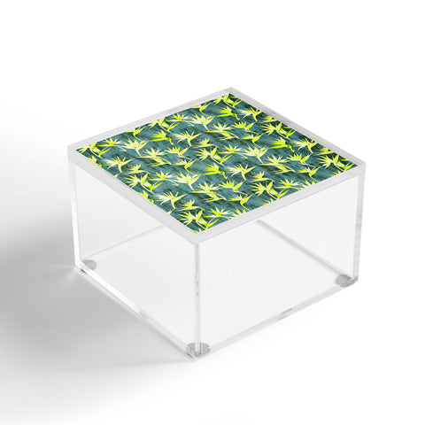 Schatzi Brown Bird of Paradise Green Acrylic Box