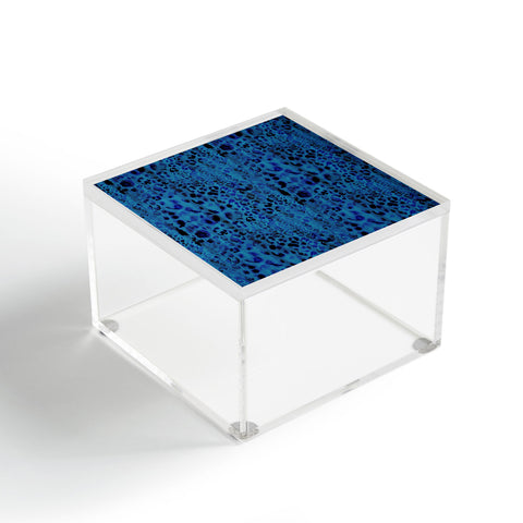Schatzi Brown Jungle Cat Blue Acrylic Box