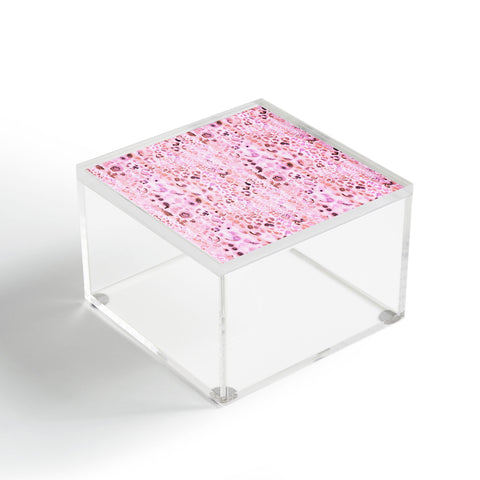 Schatzi Brown Jungle Cat Pink Acrylic Box