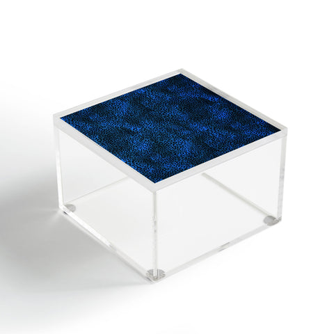 Schatzi Brown Leopard Blue Acrylic Box