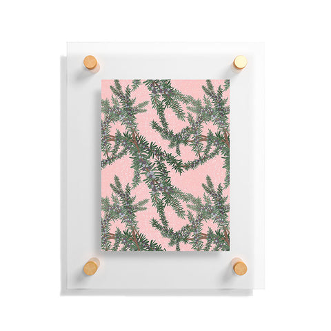 Sewzinski Juniper on Pink Floating Acrylic Print