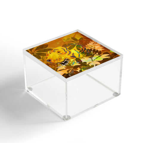 Sewzinski Phantom Tiger Acrylic Box