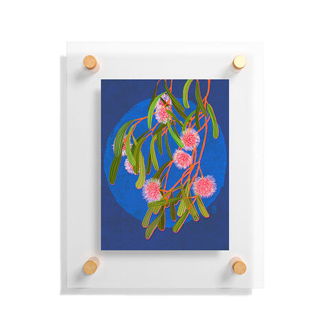 Sewzinski Pin Cushion Hakea Flowers Floating Acrylic Print