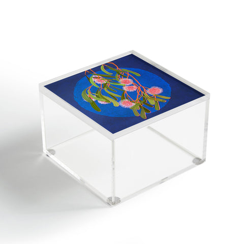 Sewzinski Pin Cushion Hakea Flowers Acrylic Box