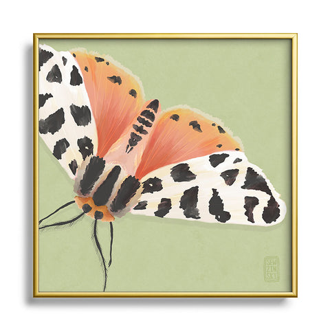 Sewzinski Tiger Moth II Square Metal Framed Art Print