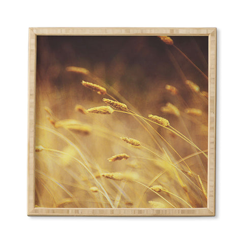 Shannon Clark Amber Framed Wall Art