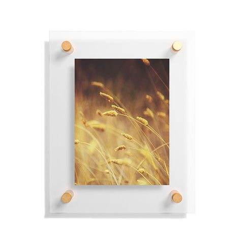 Shannon Clark Amber Floating Acrylic Print