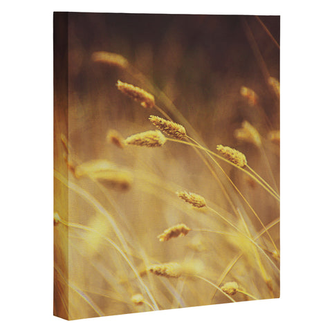 Shannon Clark Amber Art Canvas