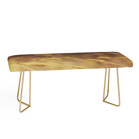 Shannon Clark Amber Bench