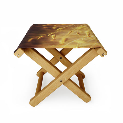 Shannon Clark Amber Folding Stool