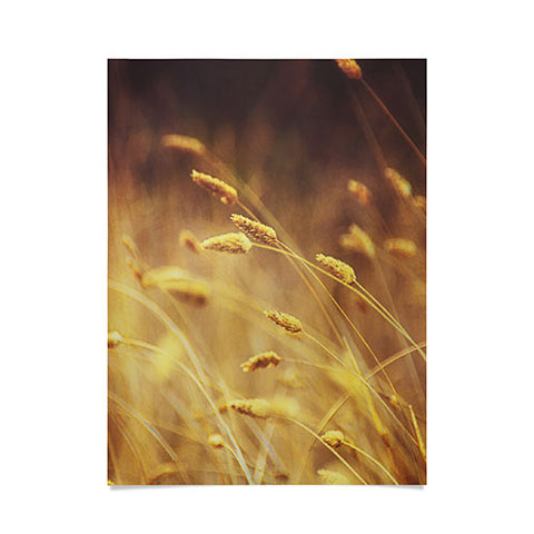 Shannon Clark Amber Poster