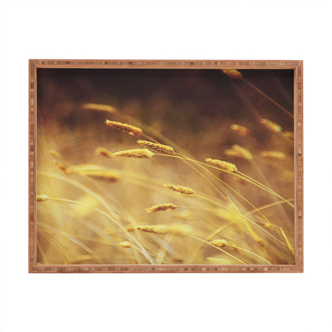 Shannon Clark Amber Rectangular Tray