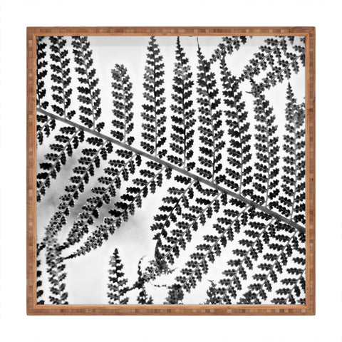 Shannon Clark Black and White Fern Square Tray