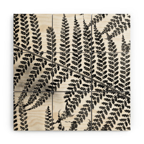 Shannon Clark Black and White Fern Wood Wall Mural