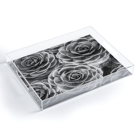 Shannon Clark Black and White Succulents Acrylic Tray