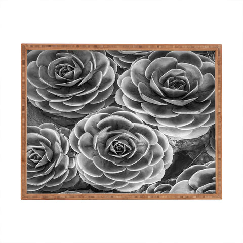 Shannon Clark Black and White Succulents Rectangular Tray