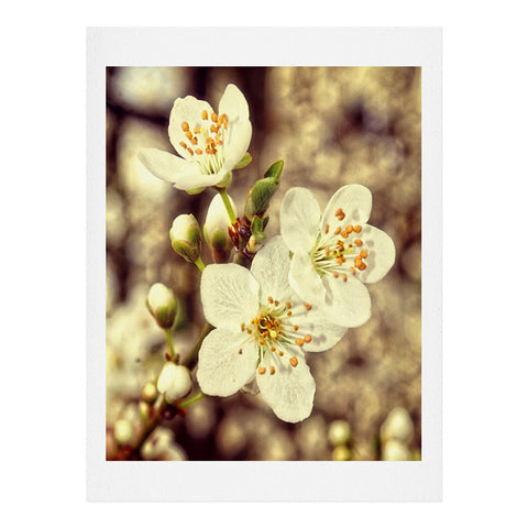 Shannon Clark Blossoms 3 Art Print