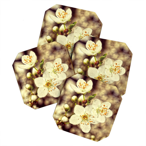 Shannon Clark Blossoms 3 Coaster Set