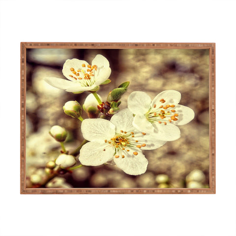 Shannon Clark Blossoms 3 Rectangular Tray