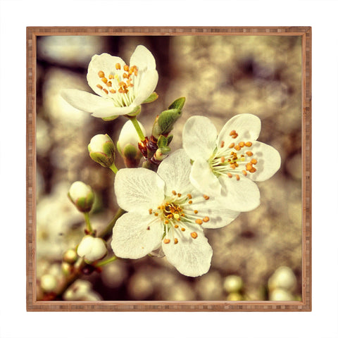 Shannon Clark Blossoms 3 Square Tray