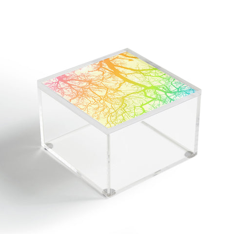 Shannon Clark Bright Branches Acrylic Box