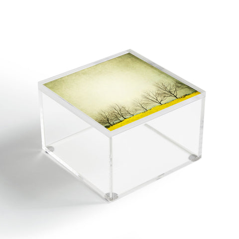 Shannon Clark Change Of Season Acrylic Box