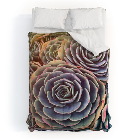 Shannon Clark Desert Succulent Comforter