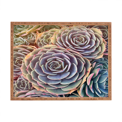 Shannon Clark Desert Succulent Rectangular Tray