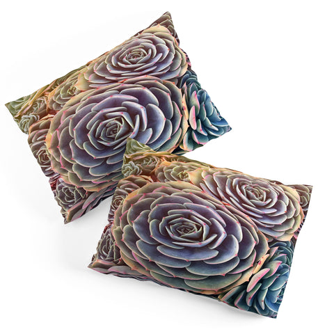 Shannon Clark Desert Succulent Pillow Shams
