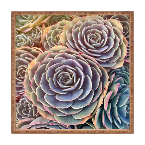 Shannon Clark Desert Succulent Square Tray
