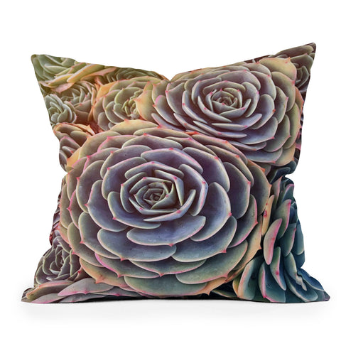 Shannon Clark Desert Succulent Throw Pillow