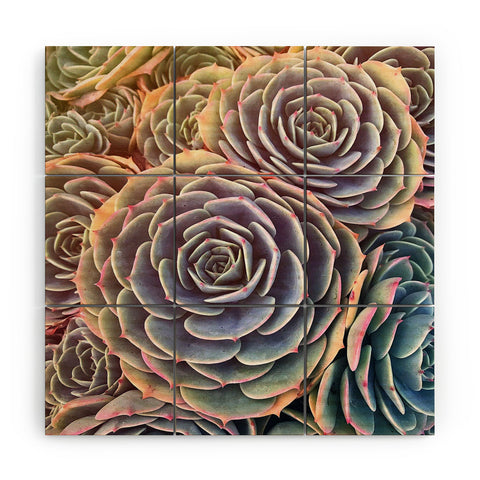 Shannon Clark Desert Succulent Wood Wall Mural