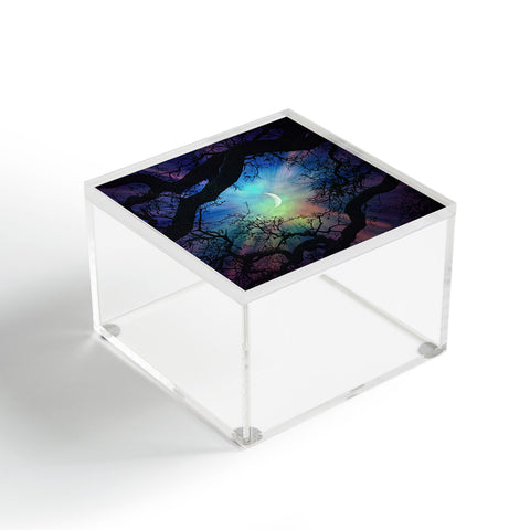 Shannon Clark Fairytale Acrylic Box
