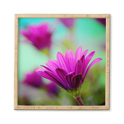Shannon Clark Floral Pop Framed Wall Art