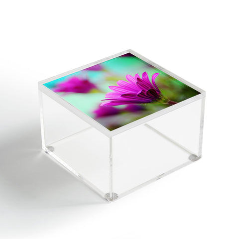 Shannon Clark Floral Pop Acrylic Box