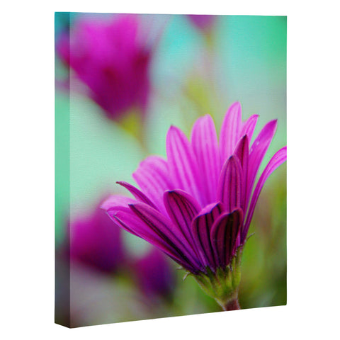 Shannon Clark Floral Pop Art Canvas