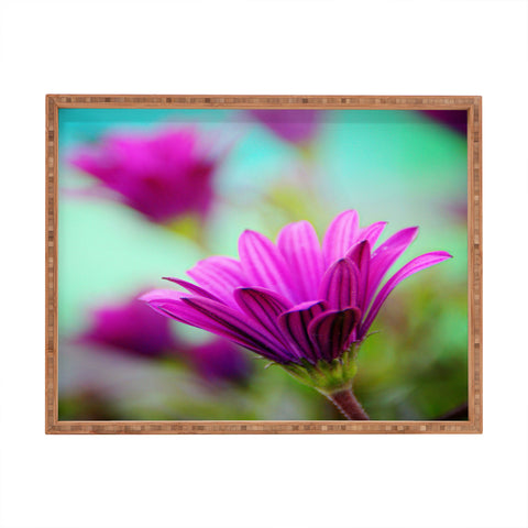 Shannon Clark Floral Pop Rectangular Tray