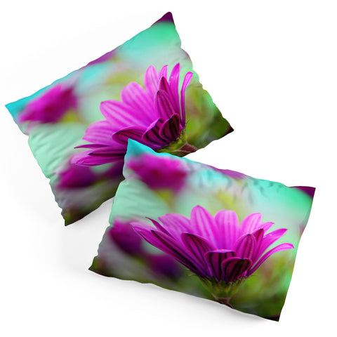 Shannon Clark Floral Pop Pillow Shams