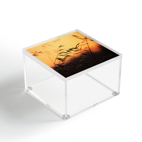 Shannon Clark Golden Days of Summer Acrylic Box