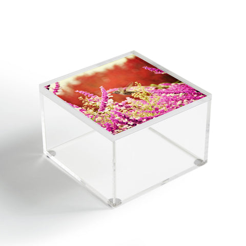 Shannon Clark Hummingbird 1 Acrylic Box