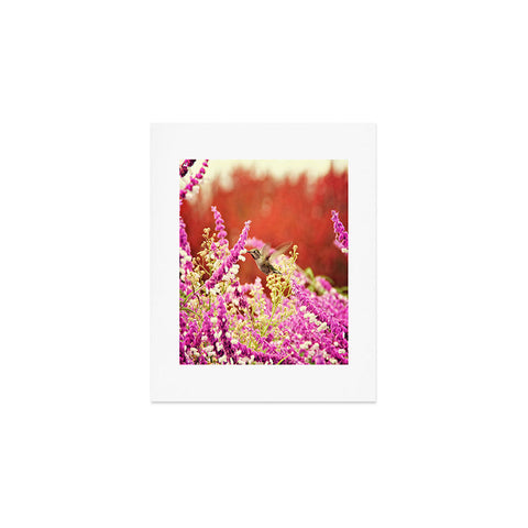 Shannon Clark Hummingbird 1 Art Print