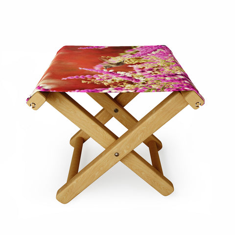 Shannon Clark Hummingbird 1 Folding Stool