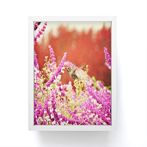 Shannon Clark Hummingbird 1 Framed Mini Art Print