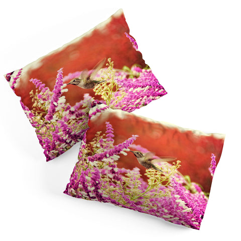 Shannon Clark Hummingbird 1 Pillow Shams