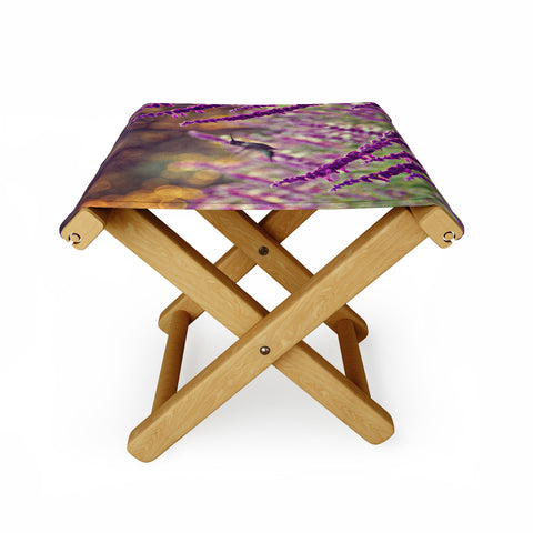 Shannon Clark Hummingbird 2 Folding Stool