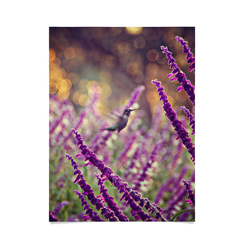 Shannon Clark Hummingbird 2 Poster