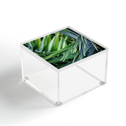 Shannon Clark Jungle Acrylic Box